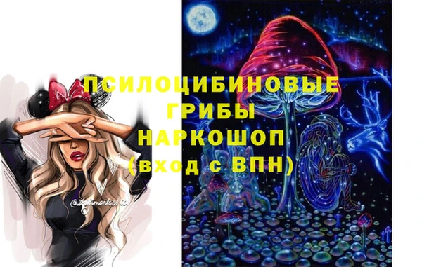 эйфоретик Верея